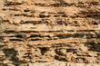 The limestone texture The limestone texture