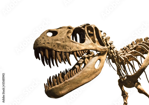 Photo: Esqueleto de tiranosaurio Rex Esqueleto de tiranosaurio Rex