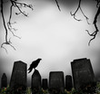 horror scene with cemetery and raven silhouette
