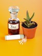Photo: Aloe Ferox plant, extract and homeopathic pills Aloe Ferox plant, extract and homeopathic pills