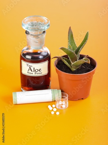 Photo: Aloe Ferox plant, extract and homeopathic pills Aloe Ferox plant, extract and homeopathic pills