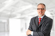 Senior businessman smiling