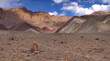 Colorful Ladakh Mountains