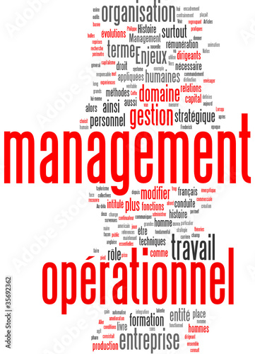 Vector: management opérationnel management opérationnel