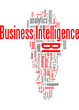 Business Intelligence  BI