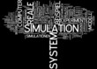 Simulation
