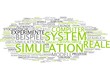 Simulation