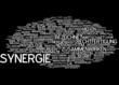 Synergie