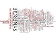 Synergie