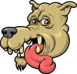 Old Dog