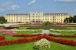 Parterre de fleurs à Schonbrunn