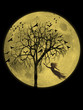 Midnight ghost Midnight ghost