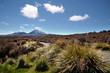 Mount Ngauruhoe im Tongariro Nationalpark