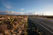 Strasse im Tongariro Nationalpark