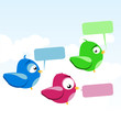 birds