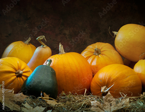orange gourd lying on the grass on  dark background