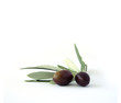 Olive con foglie 1/2011