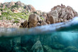 sardinian coast rocks