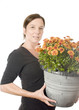 middle age woman gardener with  beautiful chrysanthemum mum flow