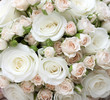 Photo: Wedding bouquet of pinkand white roses Wedding bouquet of pinkand white roses