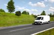 White delivery mini truck