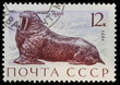 Postal stamp. Walrus, 1971 Postal stamp. Walrus, 1971