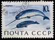 Postal stamp. Narwhal, 1971 Postal stamp. Narwhal, 1971