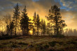 Sonnenaufgang im herbstlichen Nebel Sonnenaufgang im herbstlichen Nebel