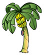 Banana tree_2