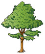Vector: Tree_3 Tree_3