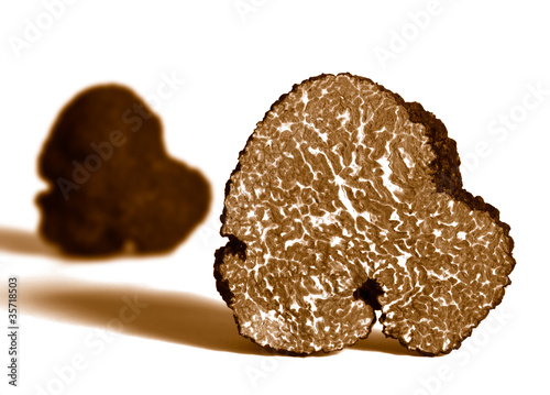 Photo: section of black truffle section of black truffle
