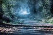 Foto: Foggy Tunnel Foggy Tunnel
