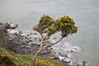 Coast of Atlantic Ocean  in England