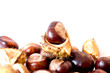 chestnuts on white background