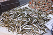 petits poissons