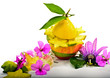 Funny fruit composition with flowers