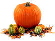 Pumpkin
