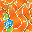 Background from pumpkins with the arrow by organic food. Vector.