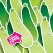 Background from zucchini. Vector illustration.