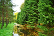 Canal in Tsarskoe Selo Canal in Tsarskoe Selo