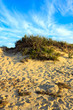 Dune