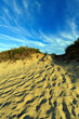 Sand Dune