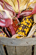 American Indian corn in a basket