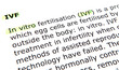 In vitro fertilisation (IVF)