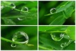 Tropfen Collage