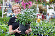 Smiling senior woman holding potted plant Smiling senior woman holding potted plant