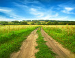 Summer landscape with green grass, road and clouds