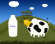 Mucca