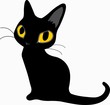 黒猫