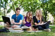 Foto: Group of students studying together Group of students studying together